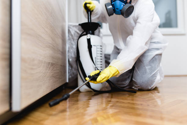 Professional Pest Control in Magnet Cove, AR
