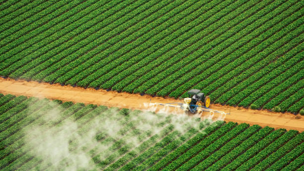 Best Commercial Pest Control Services  in Magnet Cove, AR