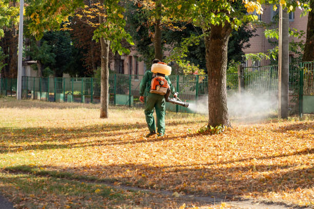 Best Affordable Pest Control Services  in Magnet Cove, AR